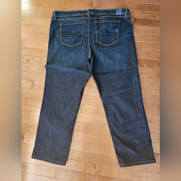 FADE TO BLUE Plus Size Women's Jeans - Size 3X (Size 22) - Picture 3 of 10